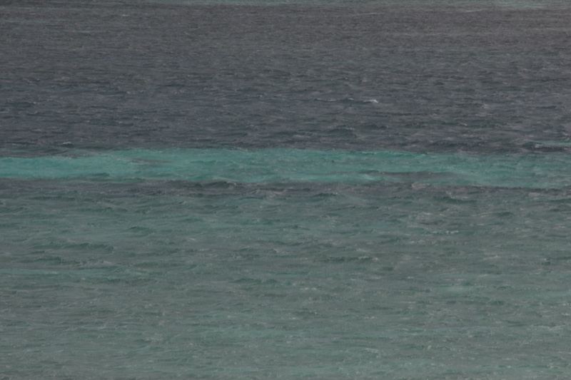 Turquoise reef band in ocean