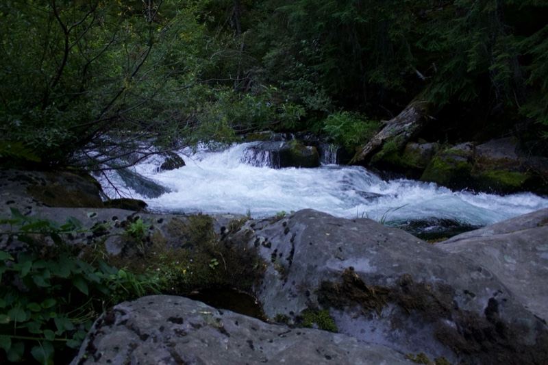 Forest River Rapids at Dusk