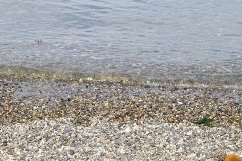 Pebble Shore Meeting Calm Water