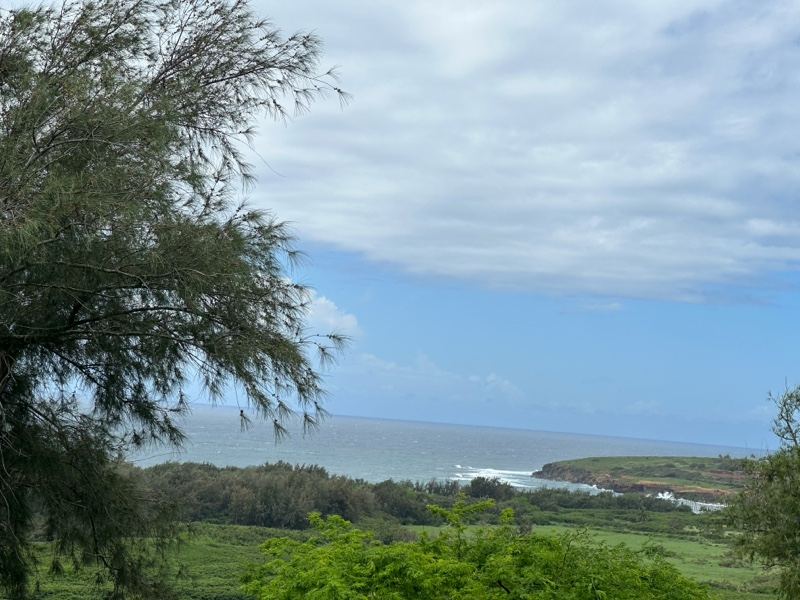Coastal Tropical Landscape Overlooking Ocean