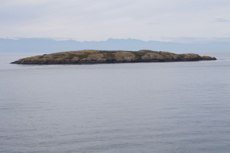 Remote Island in Calm Sea