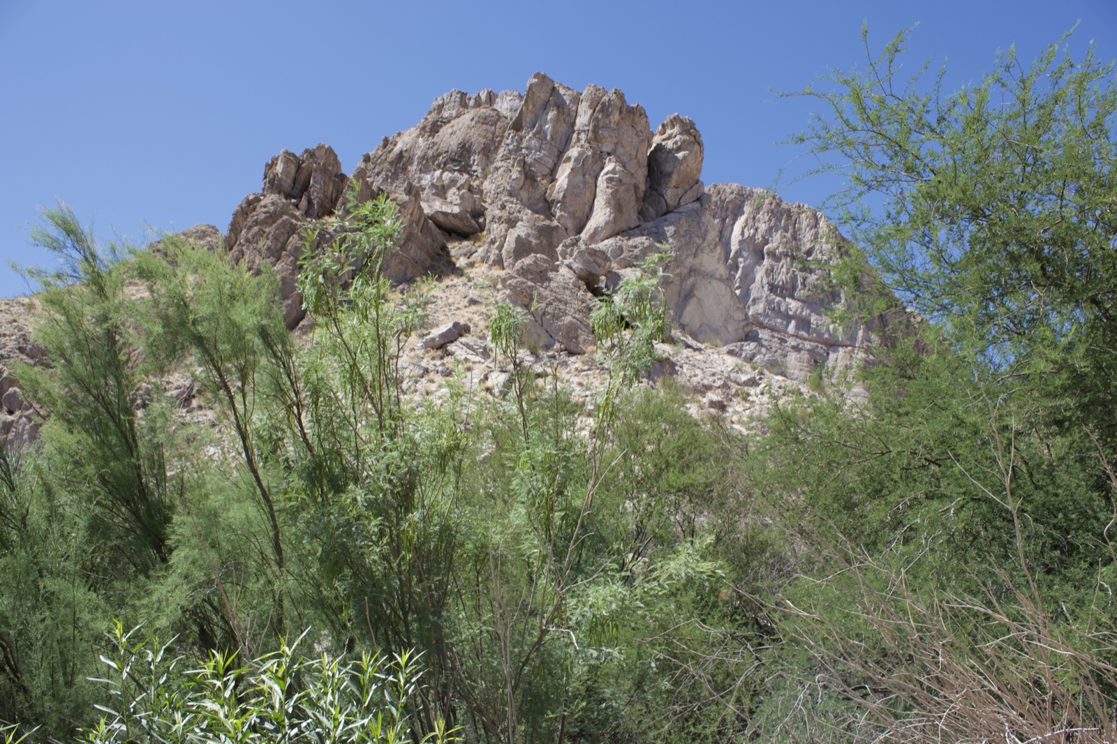 Rocky Outcrop Above Green Vegetation