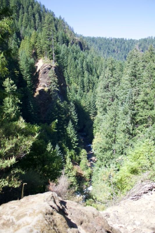 Forest Canyon Overlook From Rock