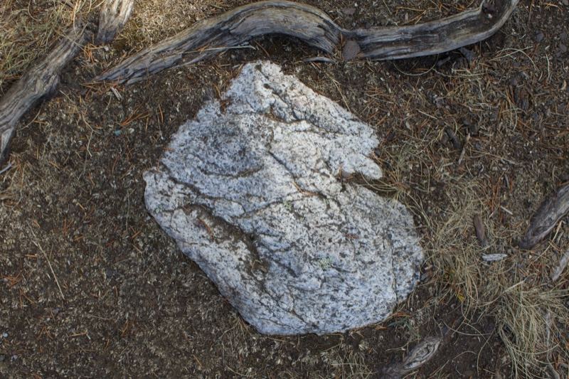 White Rock on Dry Ground