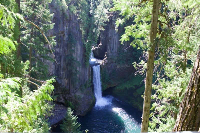 Waterfall Cascading Through Forest Canyon