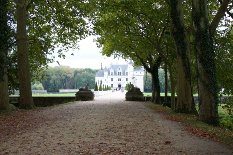 Chateau at end of tree-lined avenue