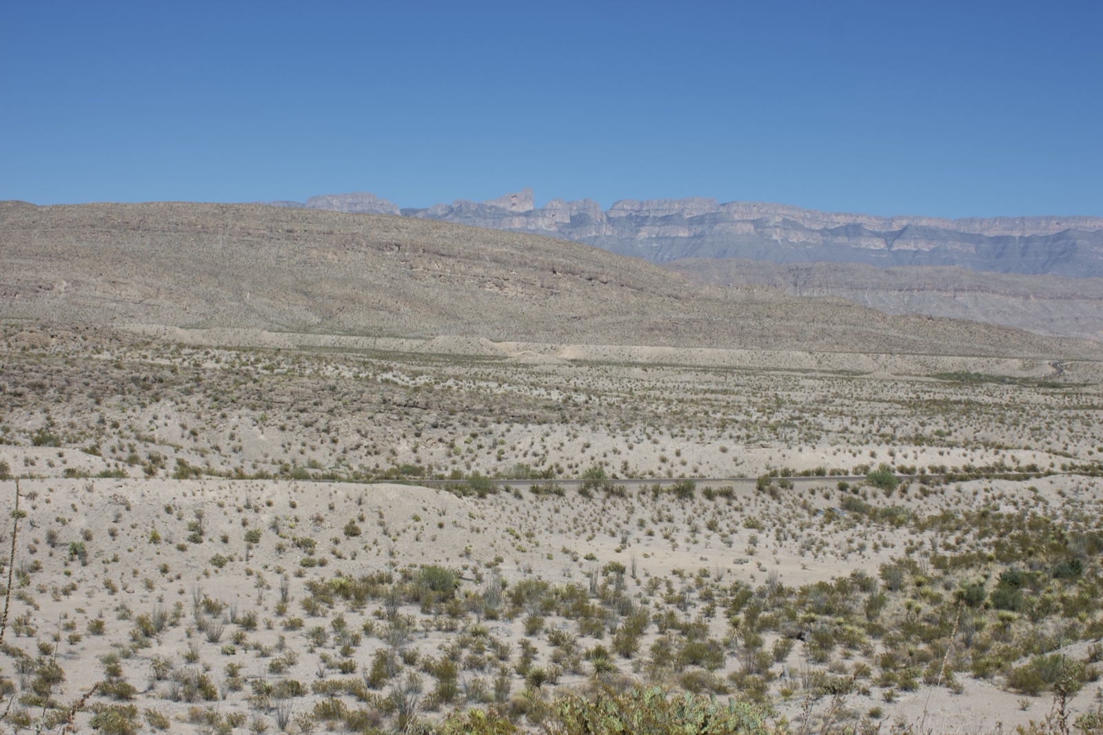 Arid Desert Plain with Distant Mountains