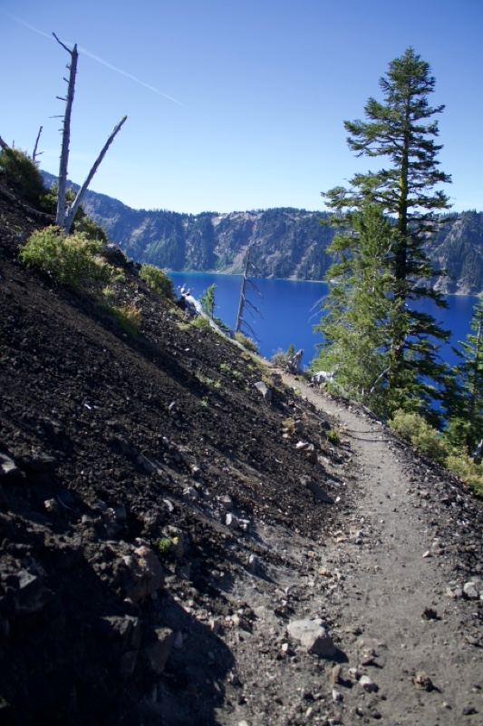 Trail overlooking Crater Lake caldera