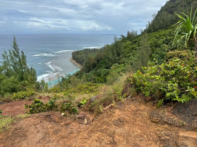 Coastal Cliff Overlooking Ocean