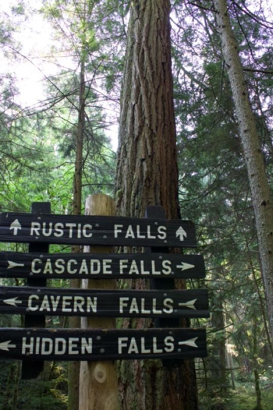 Trail Sign To Falls In Forest