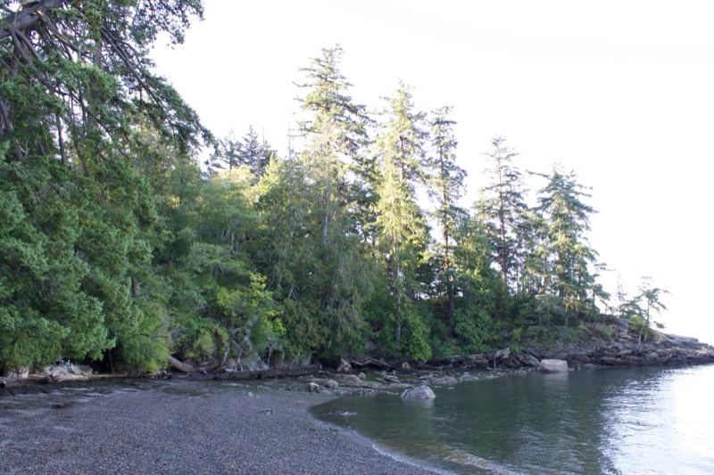 Rocky Shoreline With Forested Point
