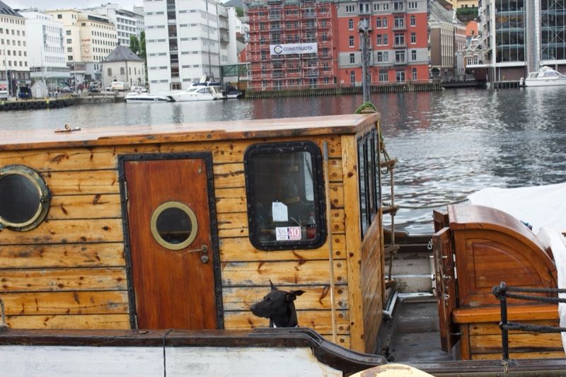 Wooden Boat Cabin at Urban Waterfront
