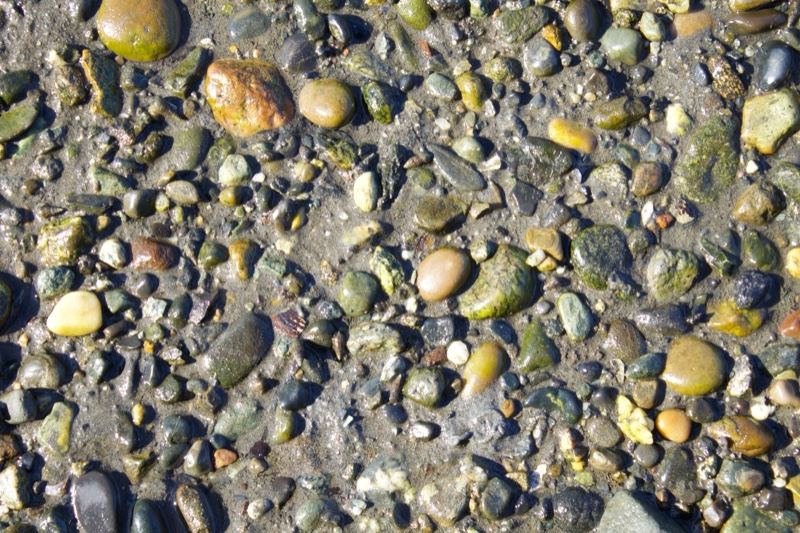 Wet Pebbles on Muddy Shore