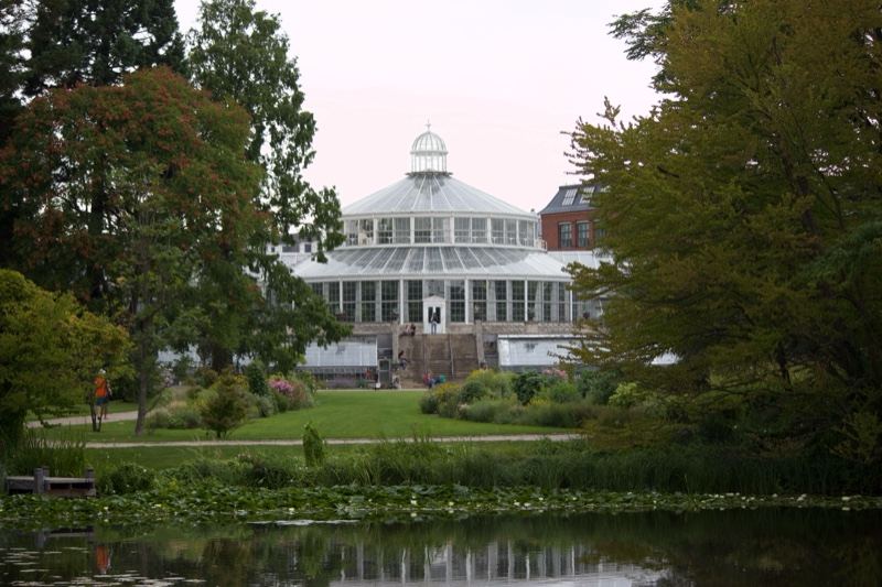 Palm House Greenhouse Reflected in Pond