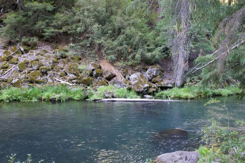 Forested River With Clear Blue Water