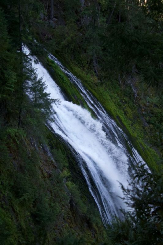 Waterfall Cascading Down Forest Cliff