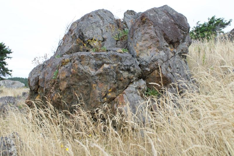 Large Boulder in Dry Grass Field