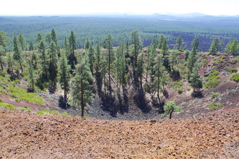 Volcanic Crater Rim With Pine Forest