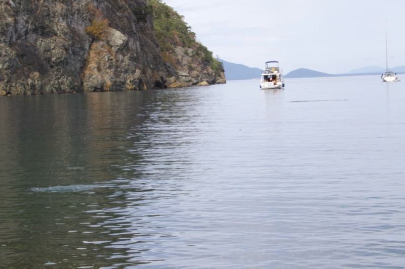 Calm Coastal Water Near Rocky Cliff