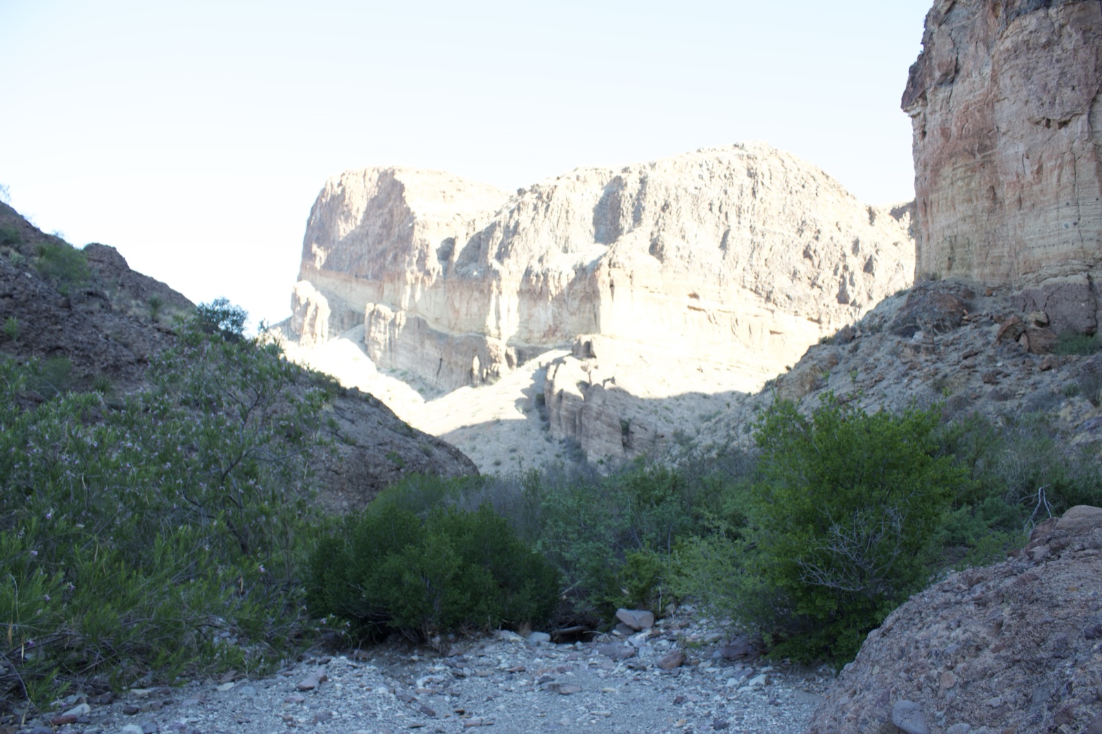 Desert Canyon With Rocky Cliffs