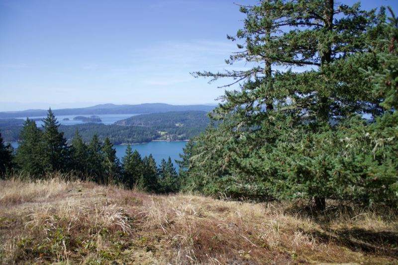 Overlook of Lake and Forested Hills