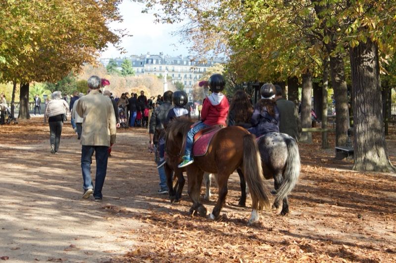 Children Riding Ponies in Autumn Park