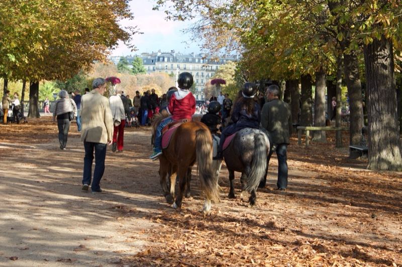 Children Riding Ponies in Autumn Park