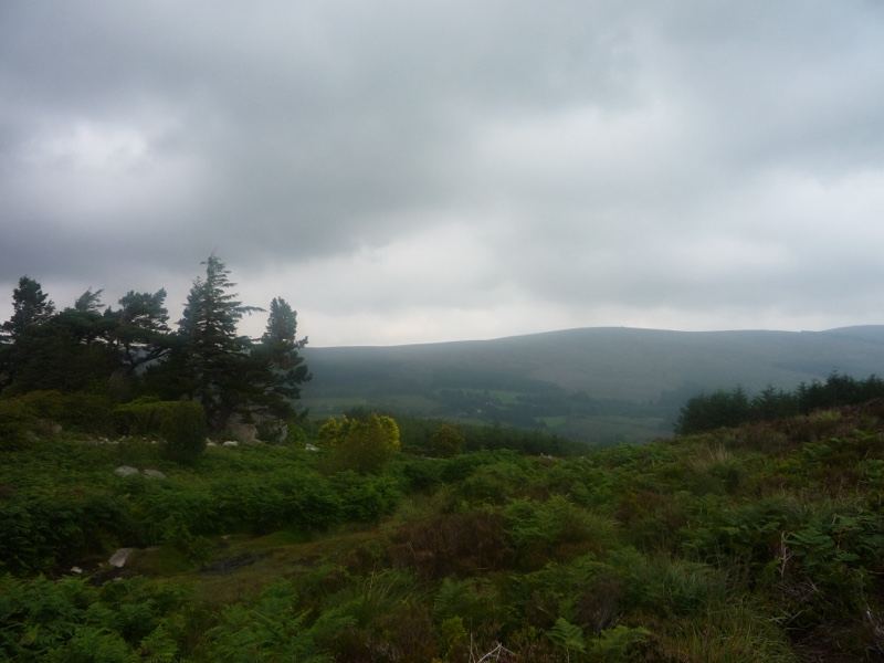 Overcast Moorland Hillside View