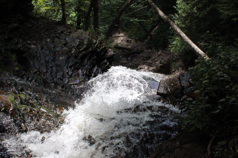 Forest Waterfall Cascading Over Rocks