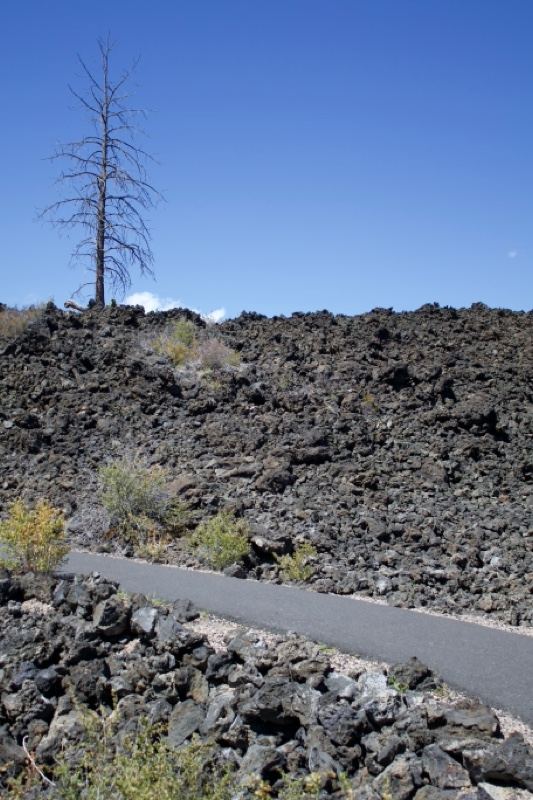 Lava field trail under clear blue sky