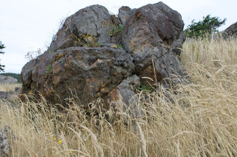 Large boulders in tall grass