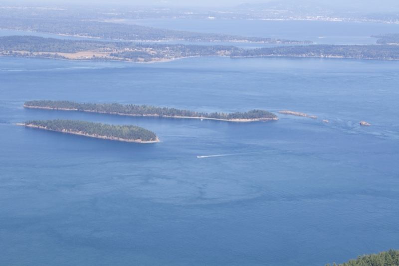 Forested Islands in Blue Sea