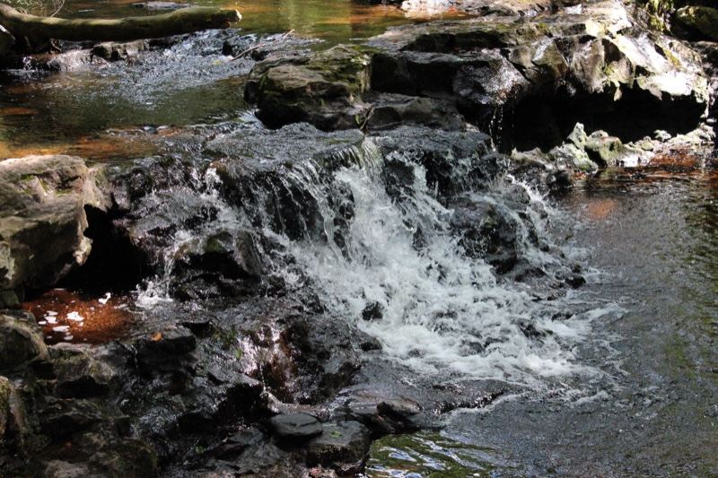 Small Waterfall Over Rocky Stream
