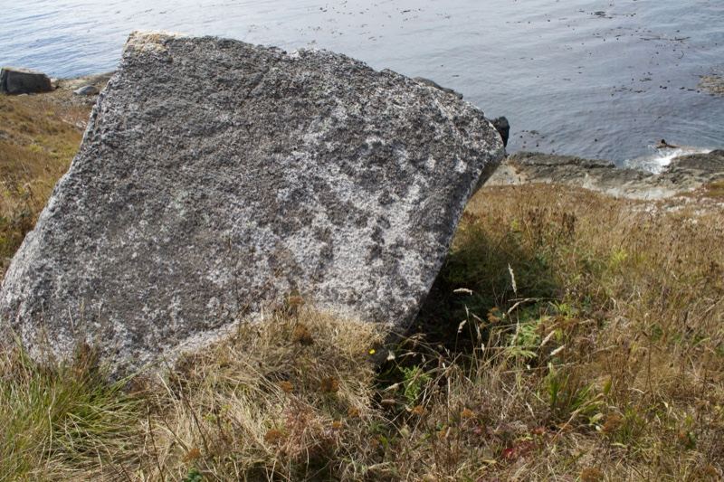 Large Lichen-Covered Boulder by Shore