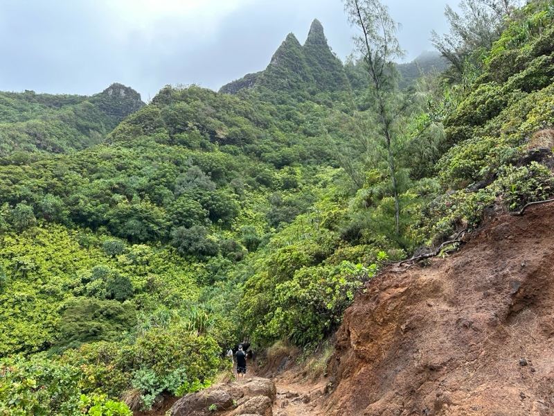 Lush Mountain Valley Hiking Trail