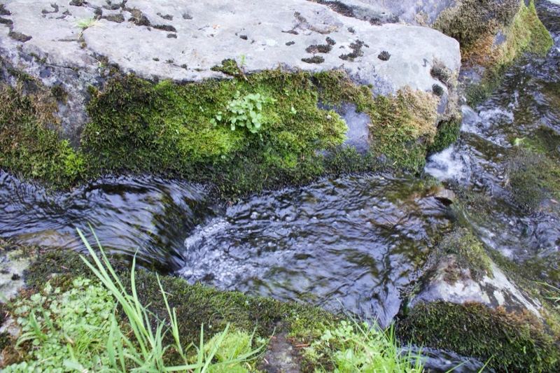 Mossy Stream Over Rocks