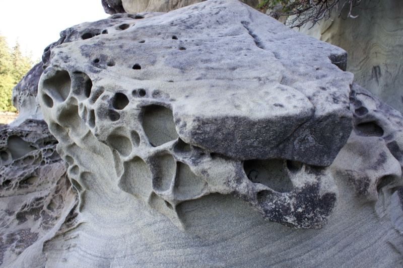Honeycomb Weathered Sandstone Rock Formation