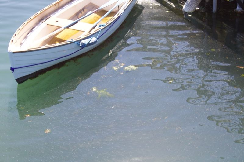 White Rowboat Moored at Dock