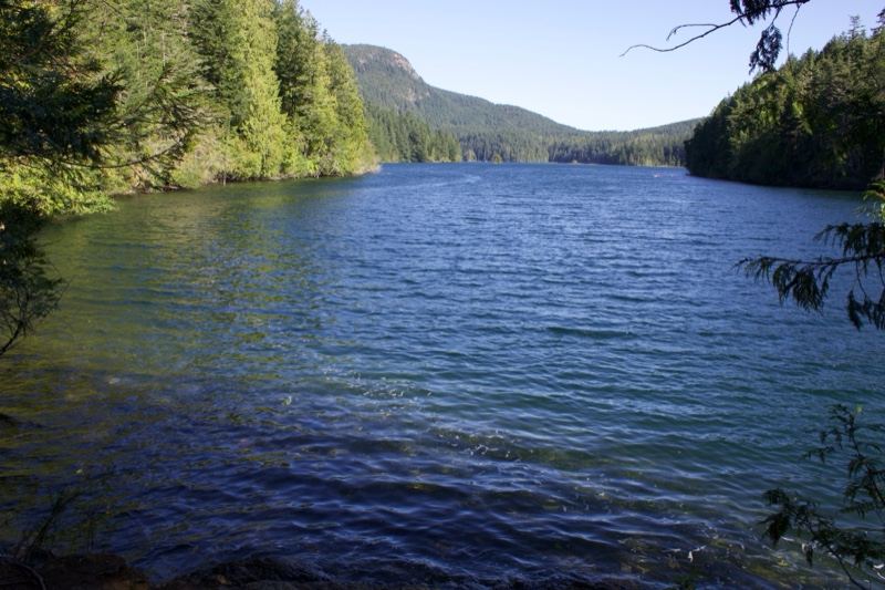 Serene Forested Lake with Mountains
