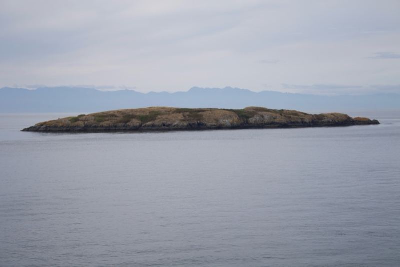 Small Island on Calm Sea