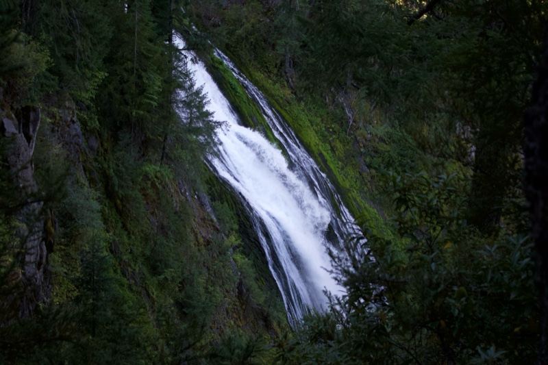 Forest Waterfall Cascading Down Cliff