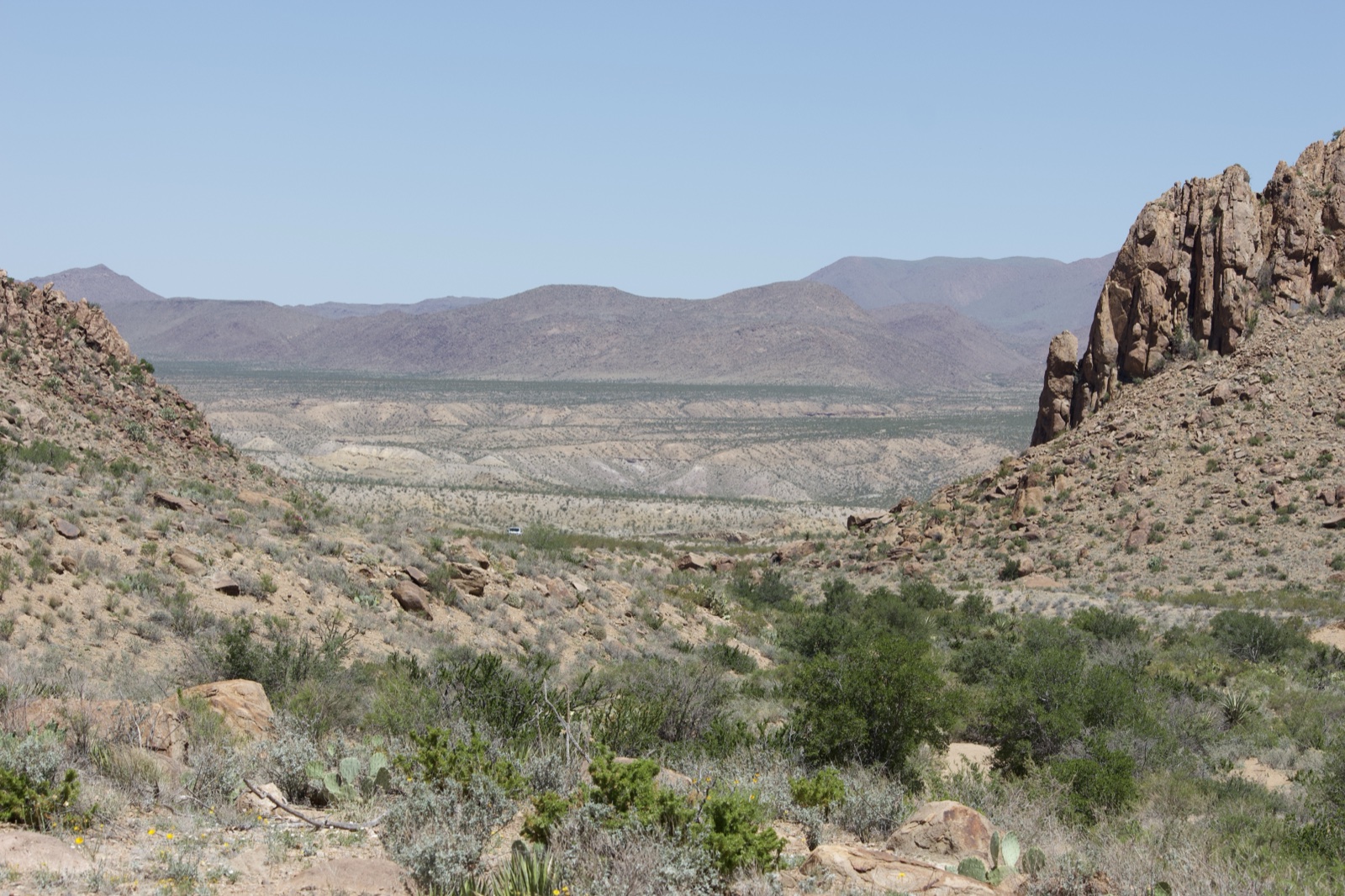 Arid Desert Valley with Rocky Mountains