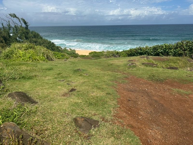 Coastal Grassy Overlook Ocean View