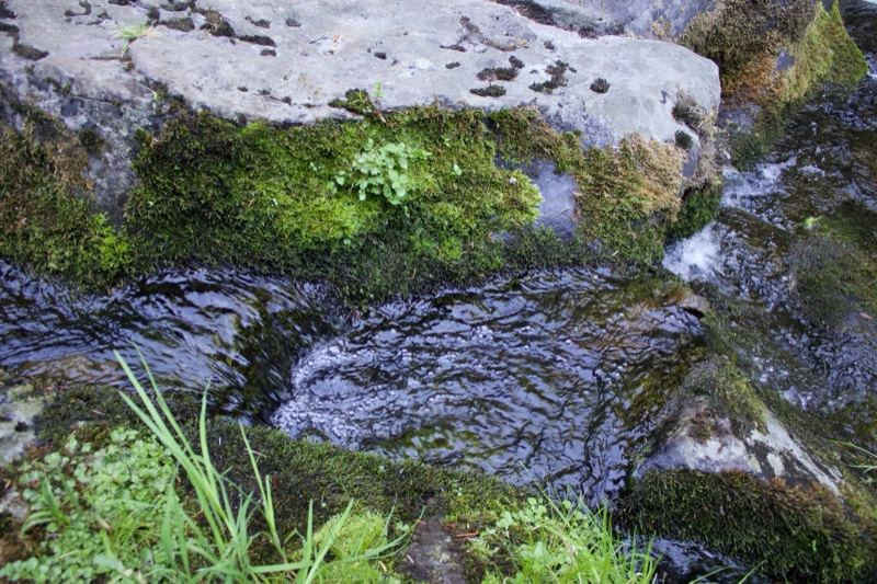 Mossy Rocks Over Flowing Stream