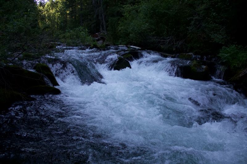 Forest River Rapids Whitewater Flow