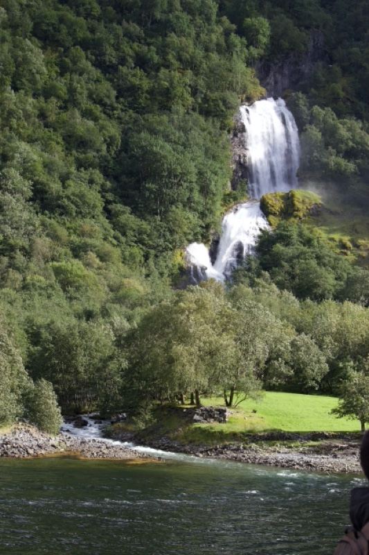Waterfall Cascading Down Forested Cliff