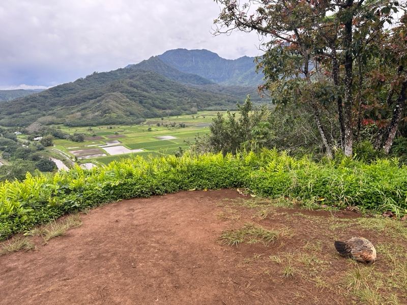 Valley overlook with dirt path