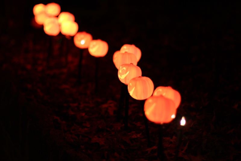 Glowing Lanterns on Night Path