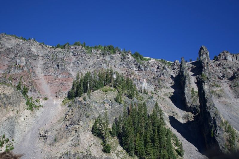 Rugged Mountain Slope with Evergreen Trees