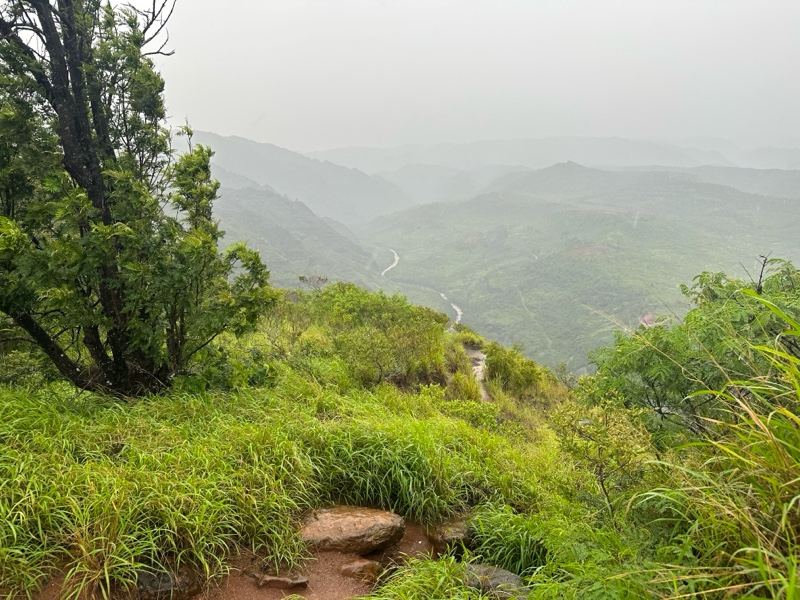 Misty Mountain Grassland Overlook